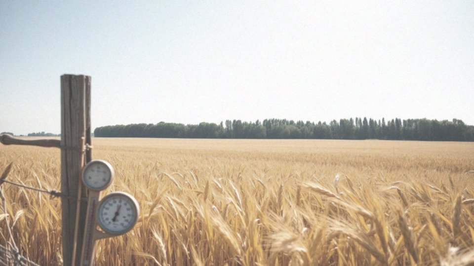 Jakie jest najwyższe zanotowane temperatury w Polsce?