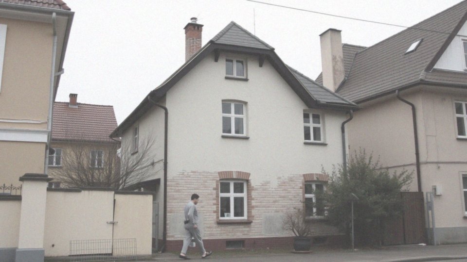 Jakie są udziały w nieruchomościach Korwin-Mikkego?
