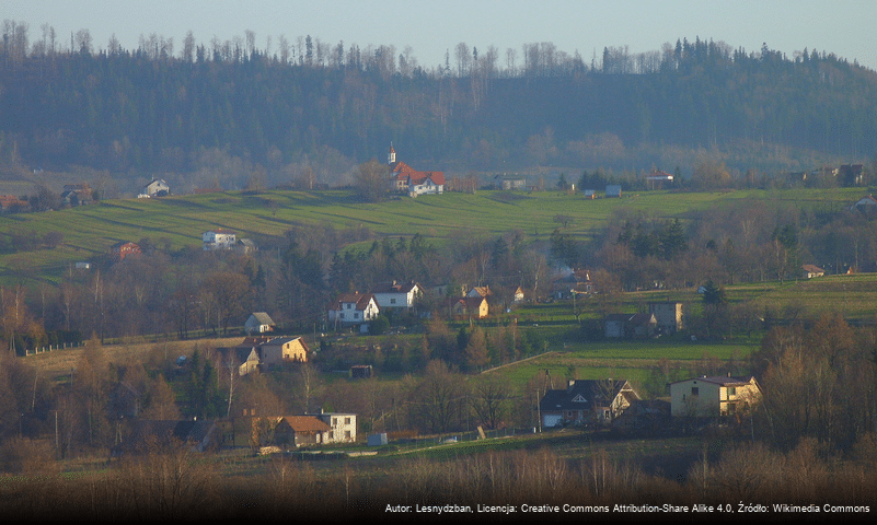 Kocurów-Koleby