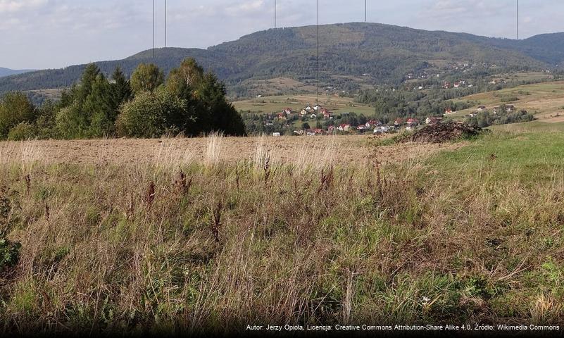 Stary Groń (Beskid Mały)