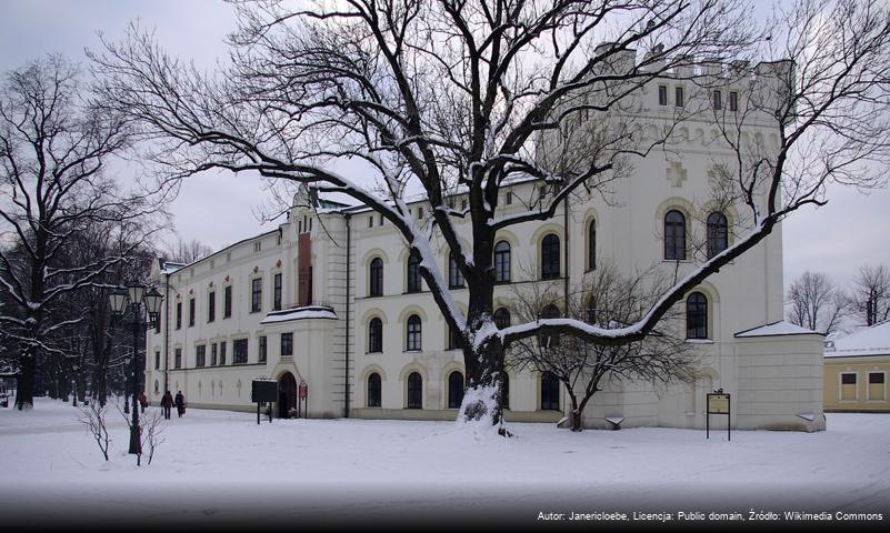 Stary Zamek w Żywcu