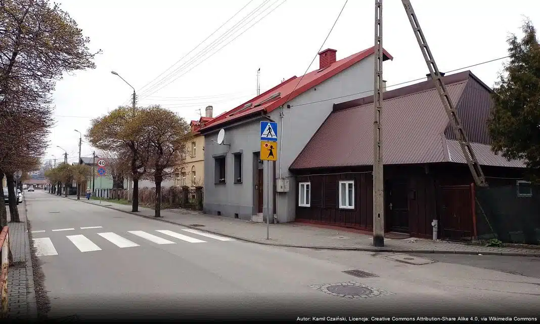 Nowe rozporządzenie dotyczące zwalczania grypy ptaków w powiecie żywieckim