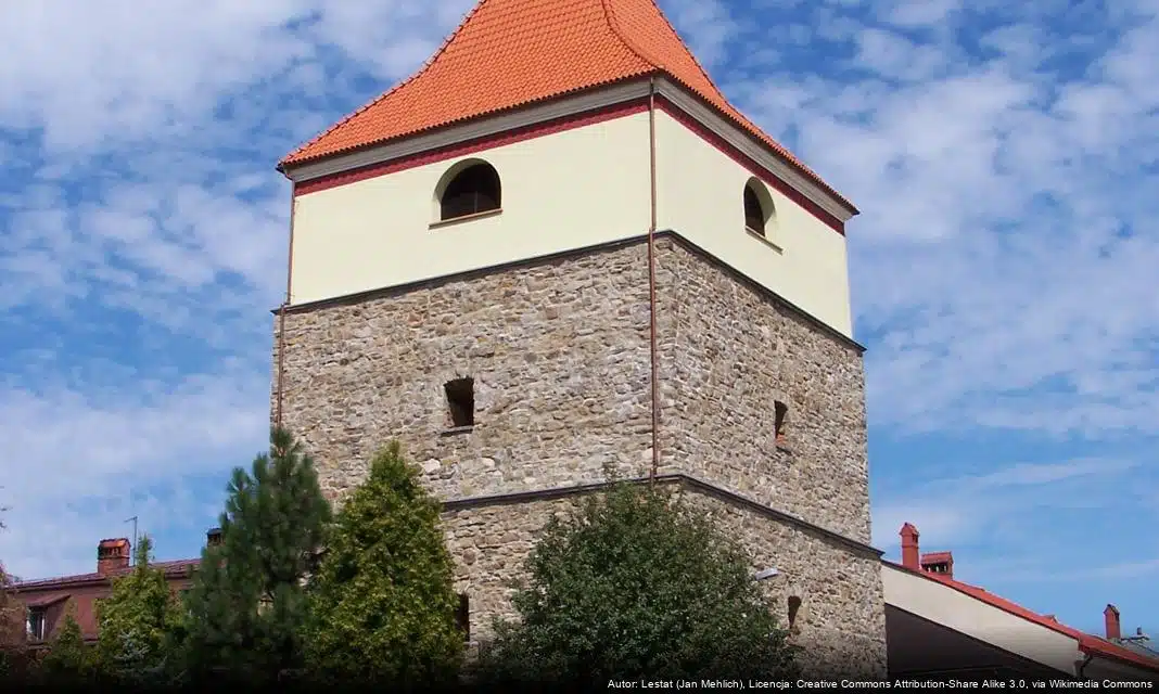 Niemowlęta w Żywcu: Rekordowe urodzenia w 2025 roku